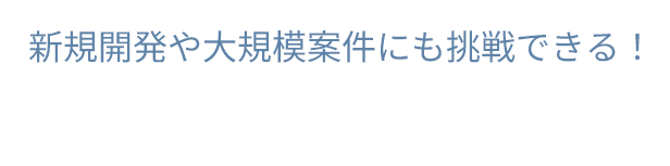 新規開発や大規模案件にも挑戦できる！
